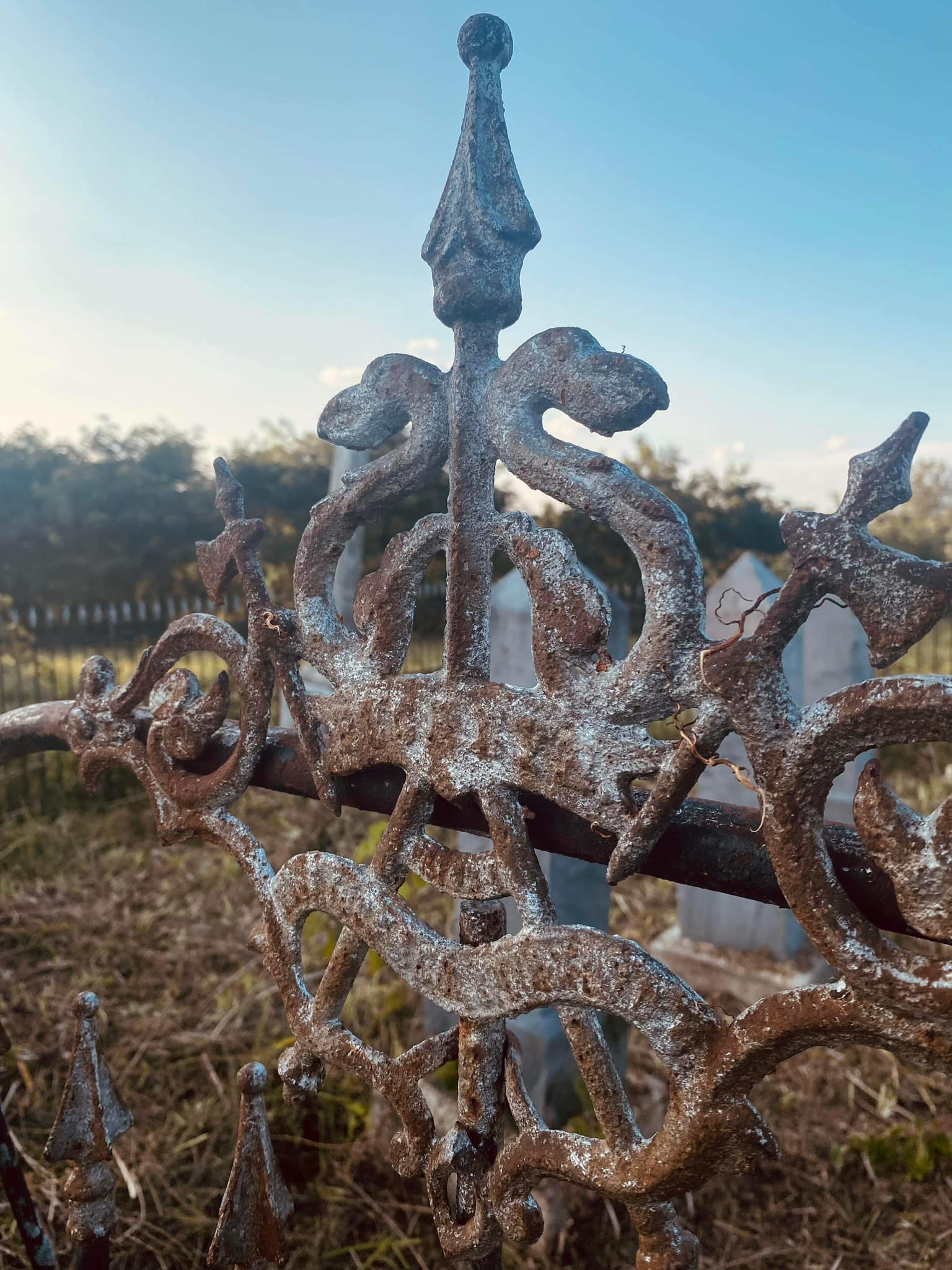 Victorian iron fence detail